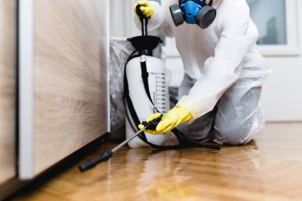 Best Mosquito Control Services  in Paramount, CA