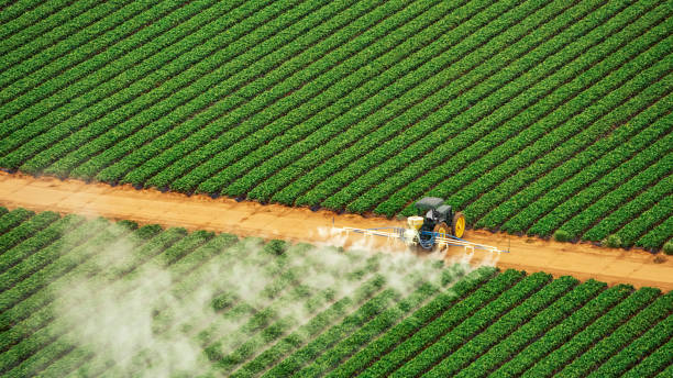 Best Mosquito Control Services  in Paramount, CA
