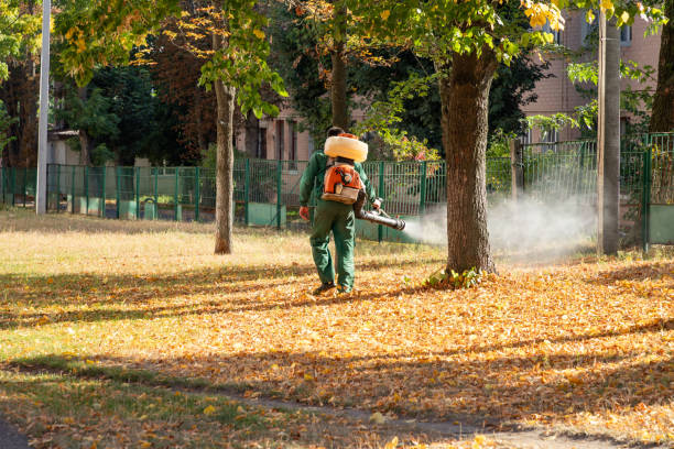 Best Pest Control Near Me  in Paramount, CA