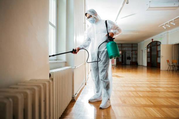 Best Affordable Pest Control Services  in Paramount, CA