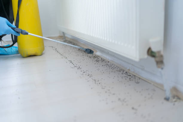 Best Cockroach Control Services  in Paramount, CA