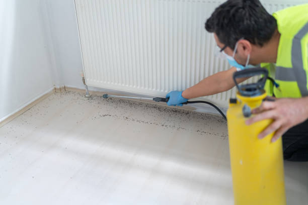 Best Local Pest Control Services  in Paramount, CA